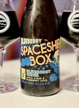 酸厂|美国 迷信 新款 飞船盒子  蓝莓味 苹果酒 Mead 精酿啤酒