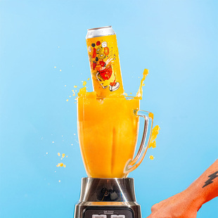 酸厂|美国树屋25年新 蕨宝宝/好奇心/临界质量/东山 IPA 精酿啤酒