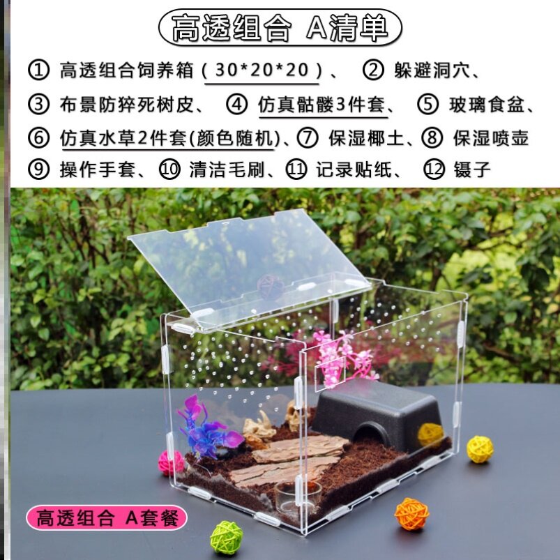 甲虫饲养箱 爬宠饲养盒亚克力透明塑料大号甲虫守宫爬宠饲养箱