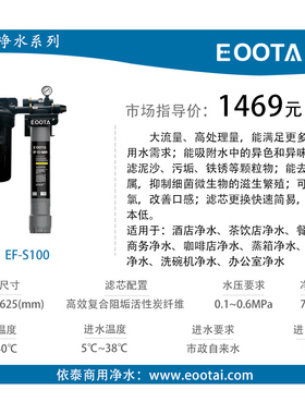 咖啡厅奶茶店专用净水器 EOOTA依泰净水 依泰超滤蜂王净水器
