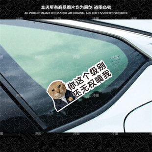 圆头耄耋汽车贴纸这个级别还无权嘀我猫咪表情搞笑车贴车身装饰贴
