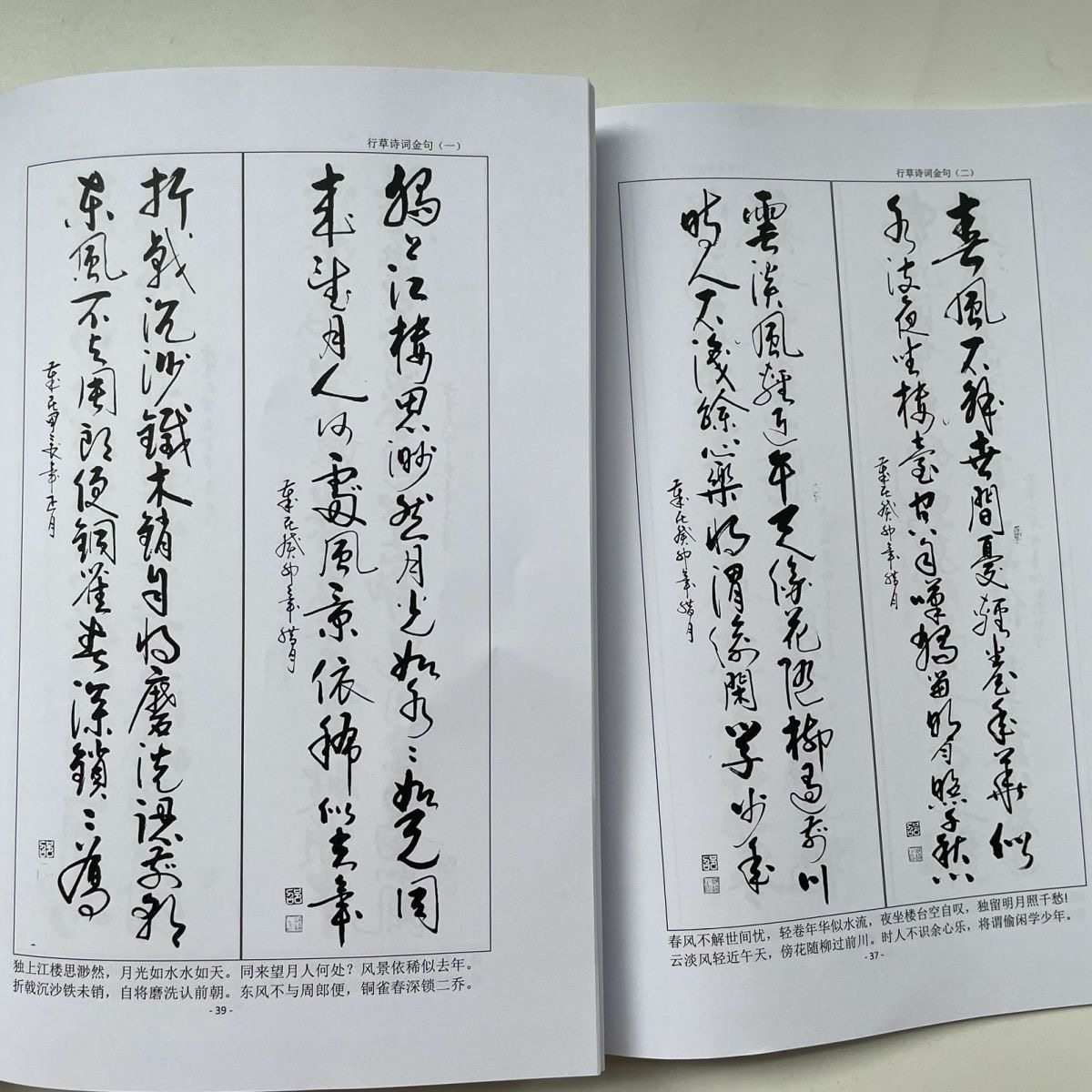 新款毛笔行书~行草诗词~诗词金句~练字帖实用快速书写体