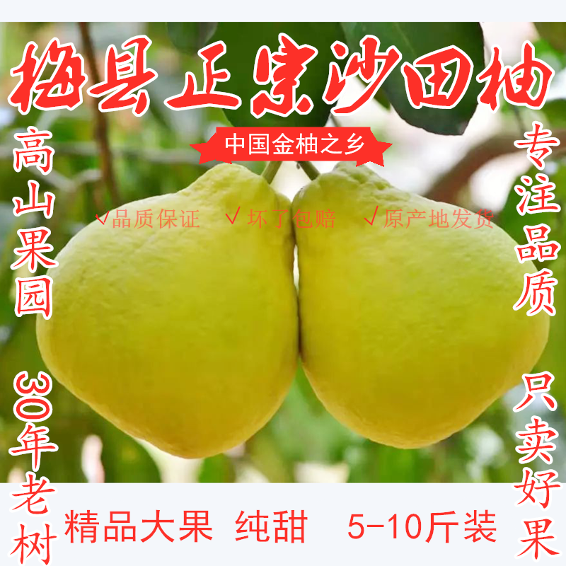 梅州沙田柚纯甜当季新鲜水果现摘