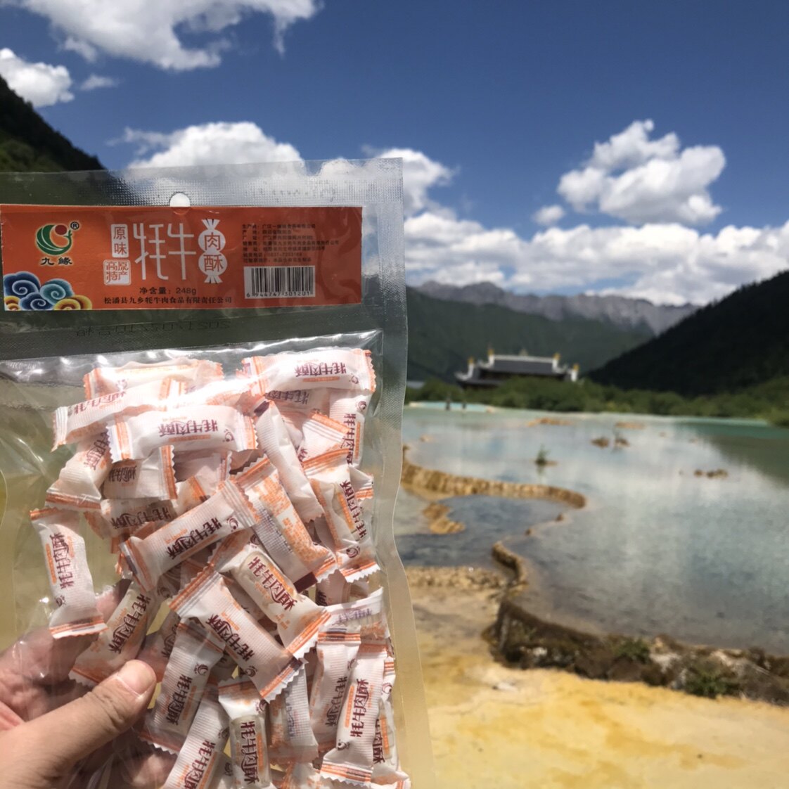 四川阿坝州松潘九寨沟高原地方特产九缘牦牛肉酥零食酥心糖248克