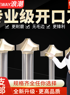 浪潮 专业级开口刀 木工刀具  圆弧刀 R角刀 花样刀 木工锣铣刀
