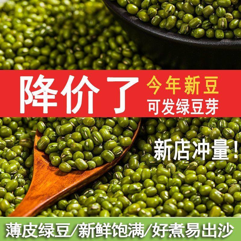 2025头茬新绿豆5斤批发皮薄肉厚清甜不腻可发芽可脱皮家用商用