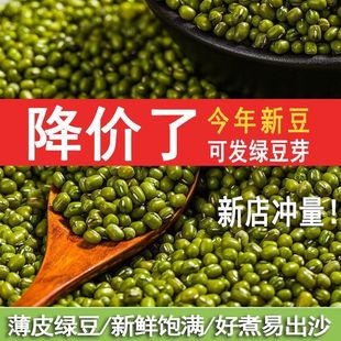2025头茬新绿豆5斤批发皮薄肉厚清甜不腻可发芽可脱皮家用商用