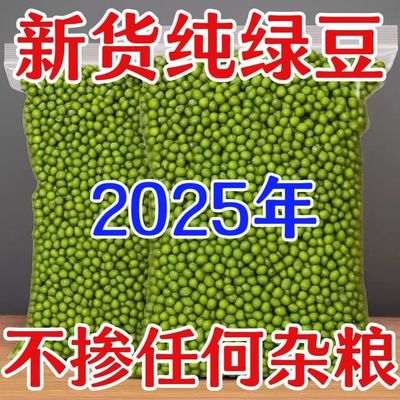 东北新鲜绿豆干货发芽皮薄