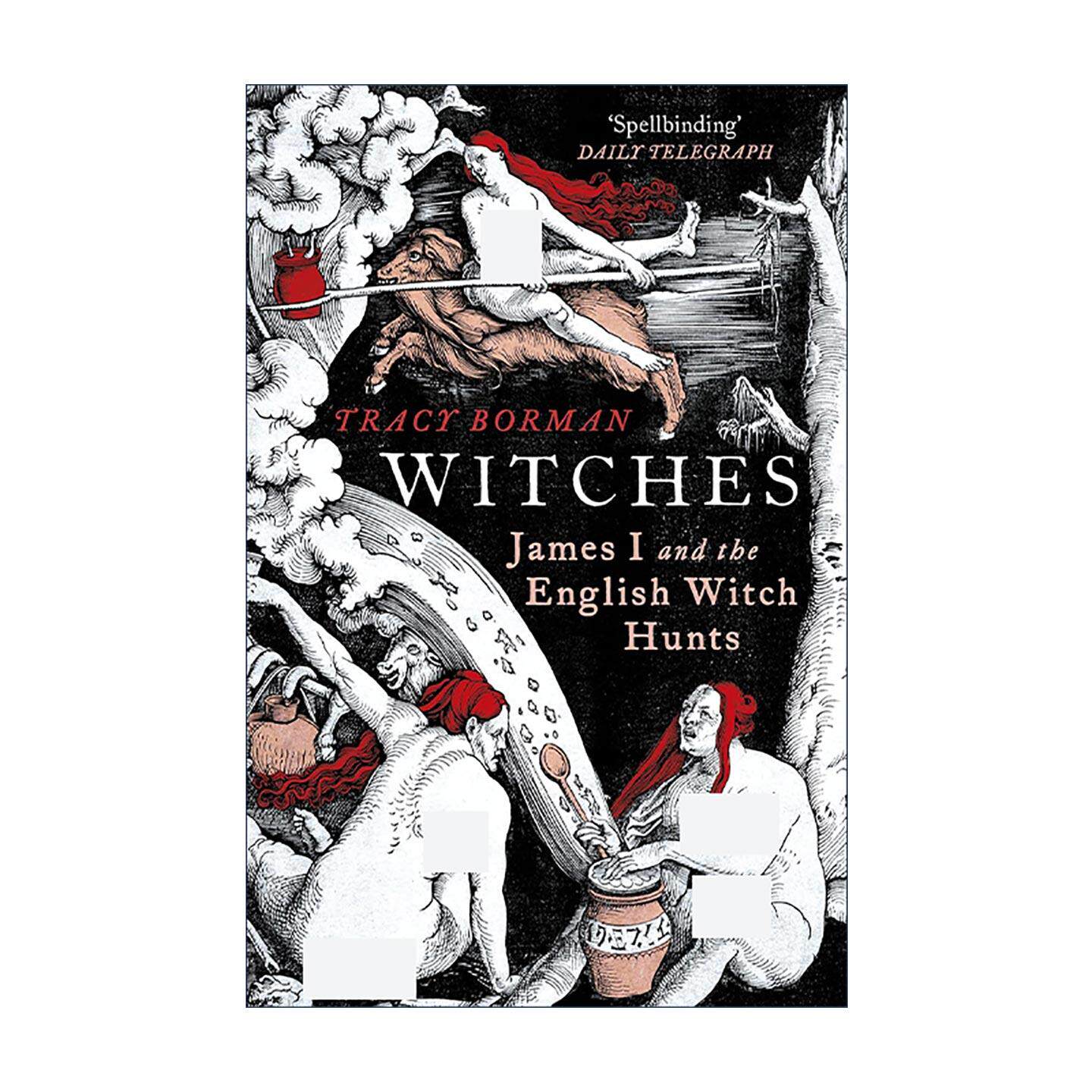 英文原版 Witches 女巫 詹姆斯一世与英格兰猎巫行动 英文版 进口英语原版书籍