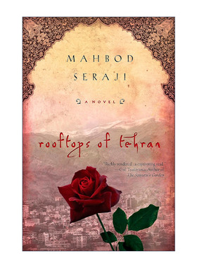 Rooftops of Tehran 德黑兰的屋顶 Mahbod Seraji