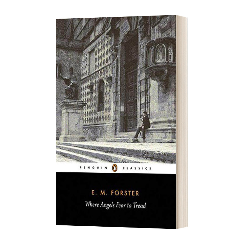 天使不敢涉足的地方英文原版