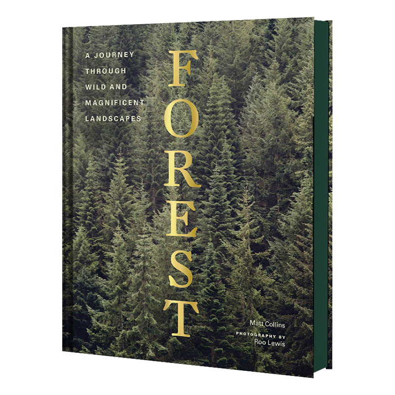 Forest 森林摄影集 英文原版树木自然摄影画册 户外风光照相拍摄 英文版 进口英语书籍