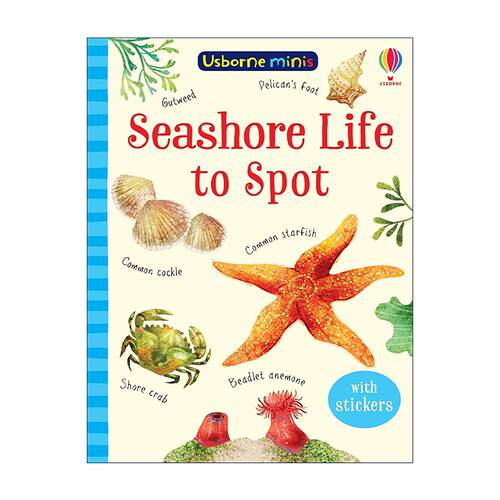 英文原版 Usborne Seashore Life to Spot 尤斯伯恩儿童迷你科普书 海边生物观察指南 附贴纸 英文版 进口英语原版书籍