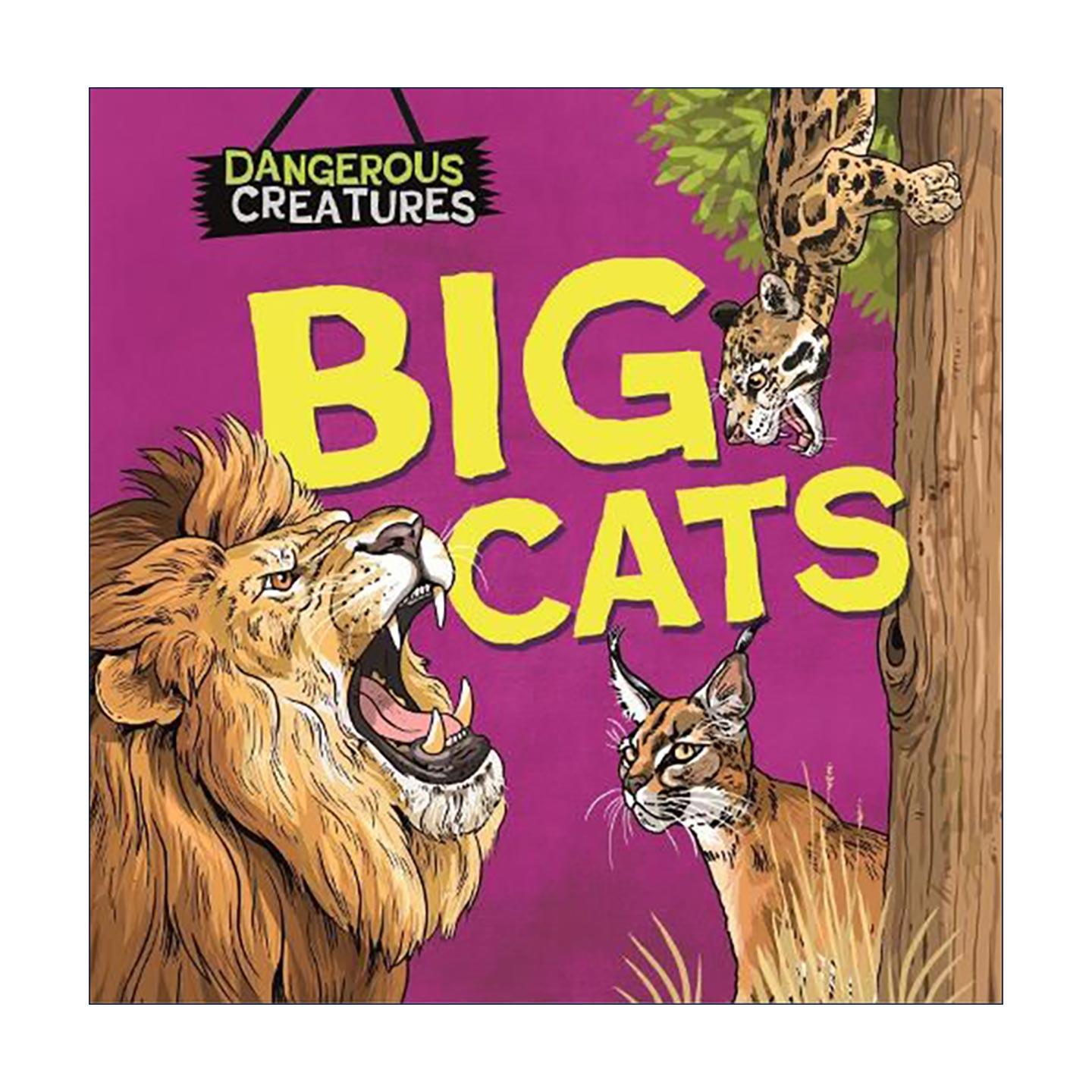 英文原版 Dangerous Creatures: Big Cats 危险生物 大型猫科动物 儿童科普百科绘本精装 英文版 进口英语原版书籍