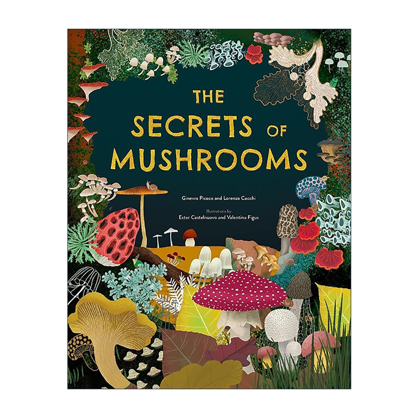 英文原版 The Secrets of Mushrooms 蘑菇的秘密 儿童真菌科普百科指南精装 英文版 进口英语原版书籍