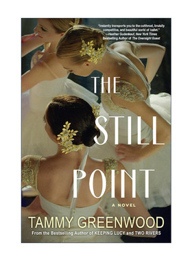 英文原版 The Still Point 静止点 Rust & Stardust作者T. Greenwood 英文版 进口英语原版书籍