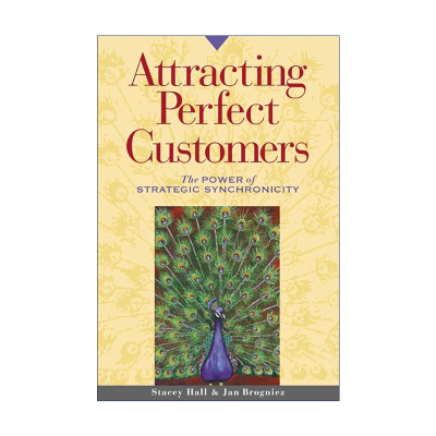 英文原版 Attracting Perfect Customers 吸引完美客户 战略同步的力量 营销 企业管理 Stacey Hall 英文版 进口英语原版书籍