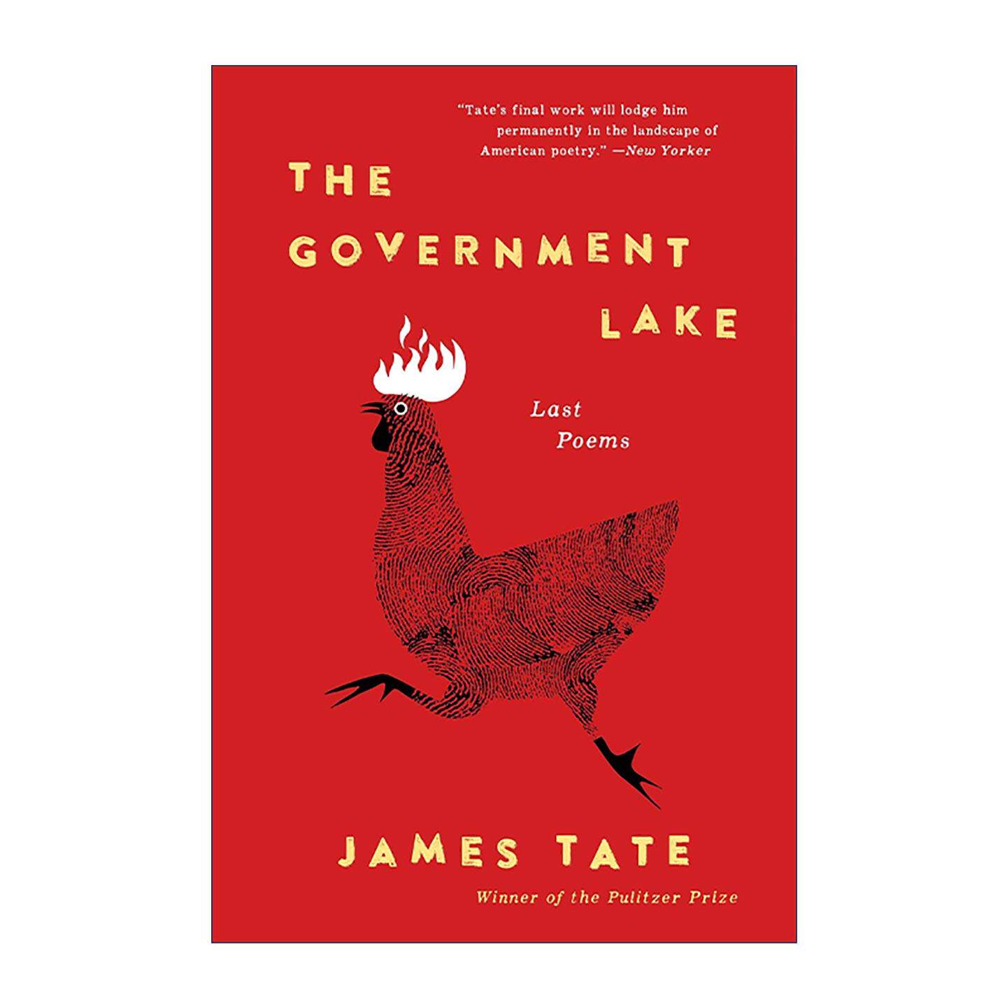 英文原版 The Government Lake 政府湖 普利策奖得主James Tate遗作 英文版 进口英语原版书籍