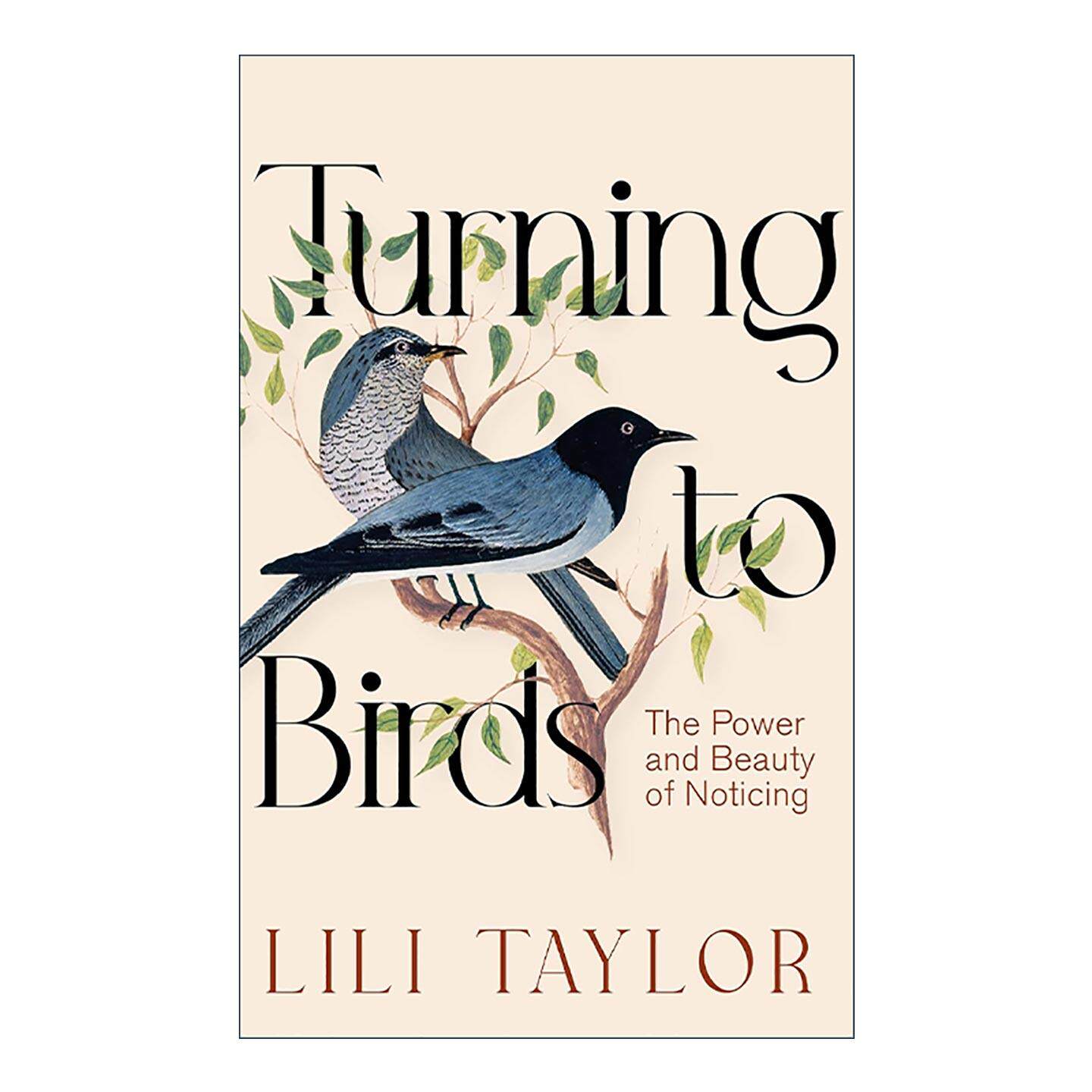 英文原版 Turning to Birds 转向鸟类 注意的力量与美 正念 Lili Taylor 英文版 进口英语原版书籍