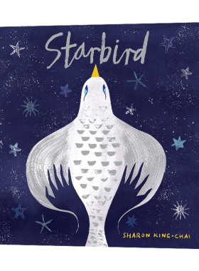 Starbird 星鸟 精装 英文原版儿童绘本 进口英语书籍