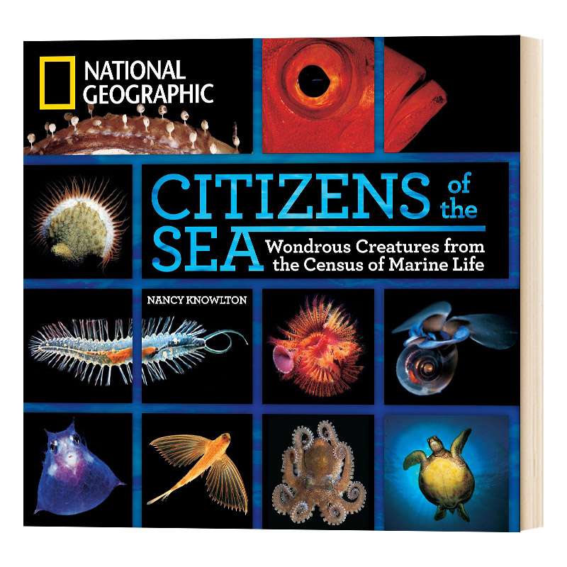 海洋公民生物普查中的奇妙生物