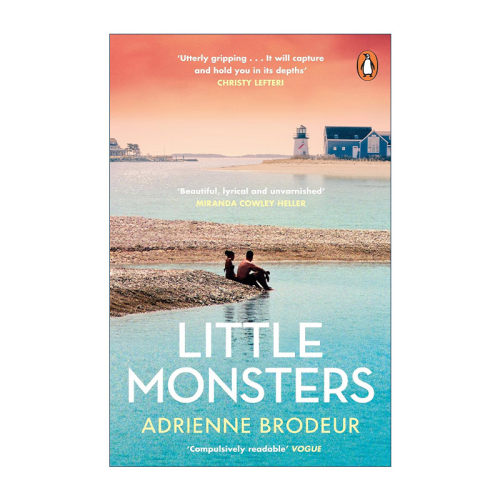 英文原版 Little Monsters 小怪兽 Adrienne Brodeur畅销亲情小说 亚马逊编辑推荐 英文版 进口英语原版书籍