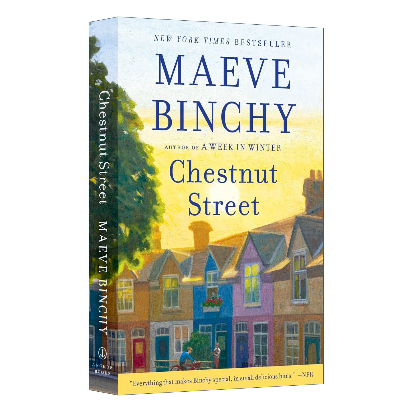 Chestnut Street 栗树街 豆瓣推荐 女性小说 Maeve Binchy