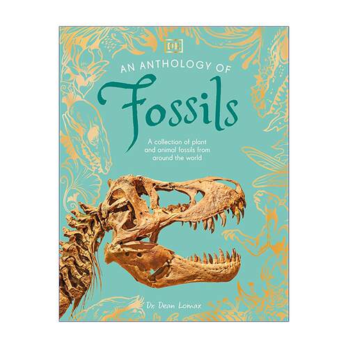 英文原版 An Anthology of Fossils 化石选集 DK典藏博物馆 自然科普百科精装 英文版 进口英语原版书籍