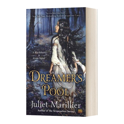 Dreamer's Pool 梦想家的泳池 英文原版小说 进口英语书籍