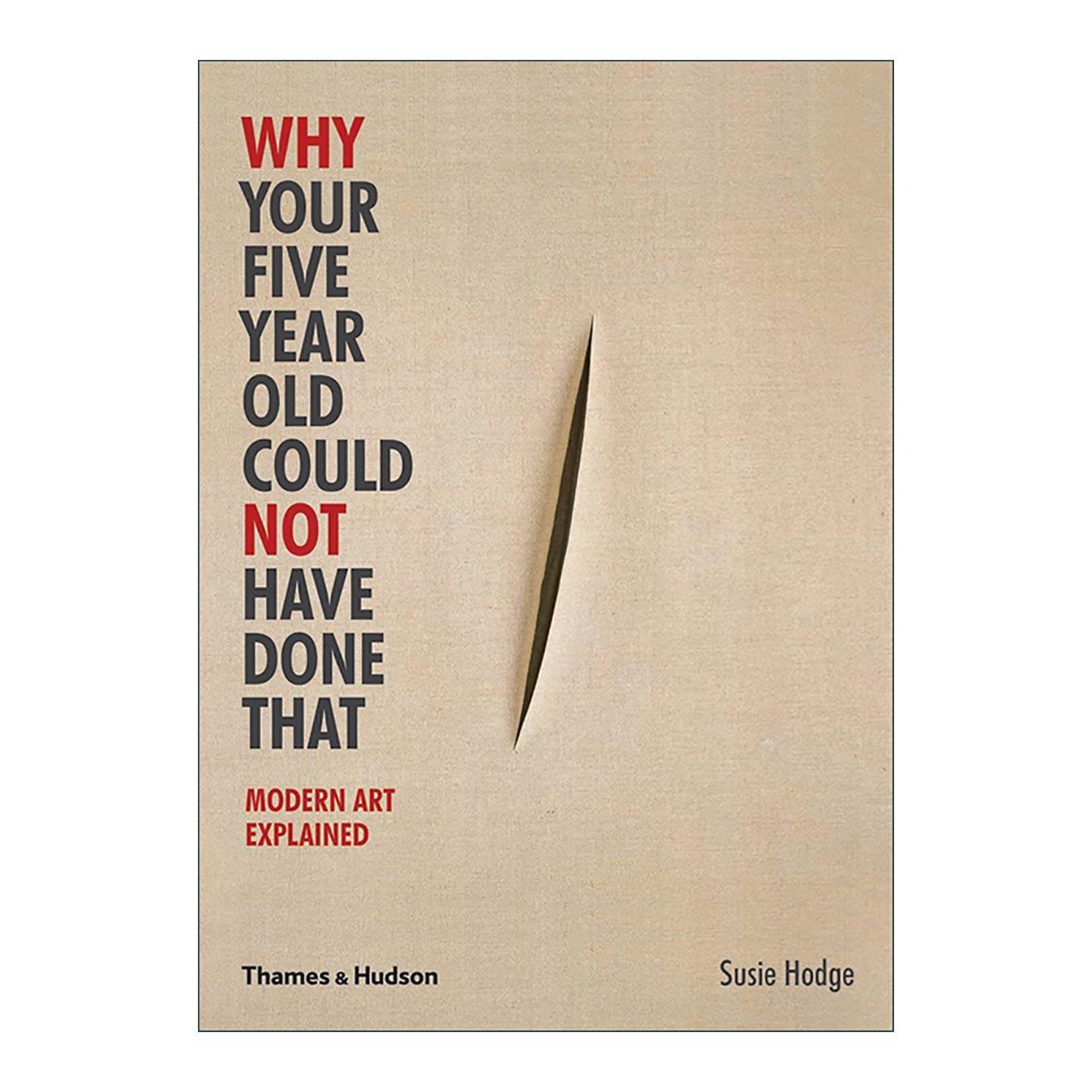 英文原版 Why Your Five Year Old Could Not Have Done That 你为什么看不懂现代艺术 为什么你五岁时没做出来 进口英语原版书籍