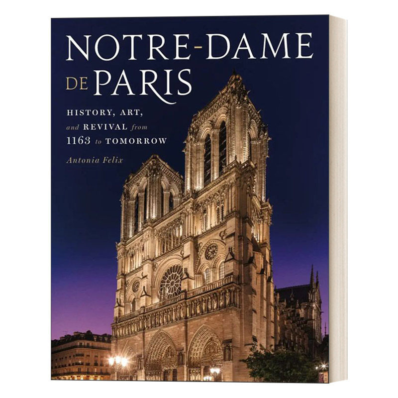 英文原版 notre-dame de paris 巴黎圣母院 1163年以后的历史 艺术和
