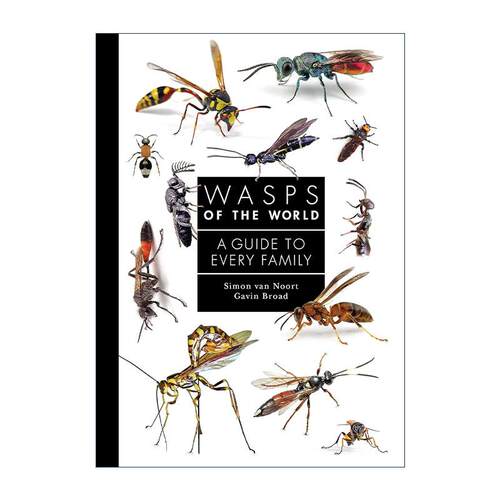 英文原版 Wasps of the World 普林斯顿家庭指南 世界黄蜂图鉴 Simon van Noort 精装 英文版 进口英语原版书籍