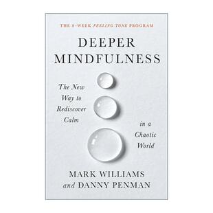 英文原版 Deeper Mindfulness 更深入的正念 在混乱世界中重新找到平静的新方法 英文版 进口英语原版书籍