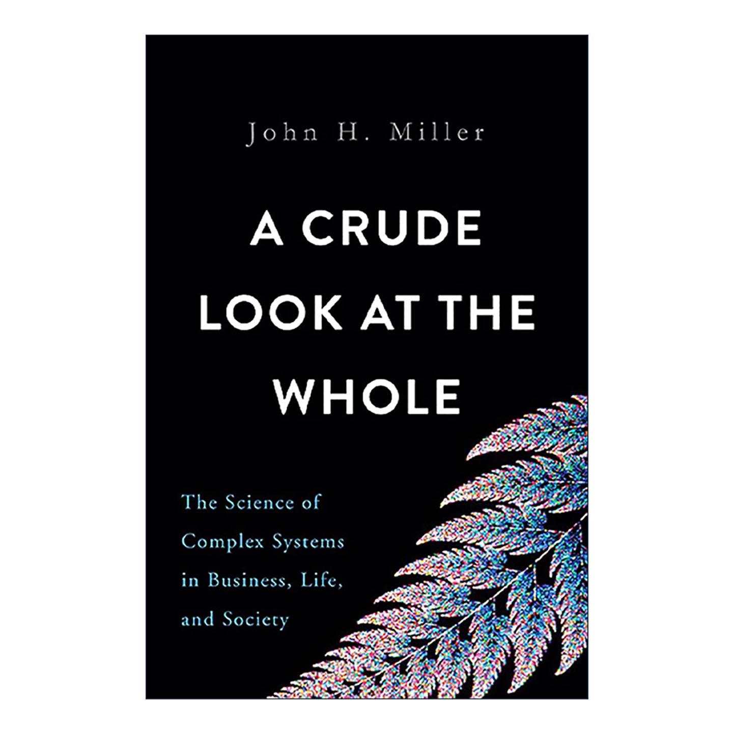 英文原版 A Crude Look at the Whole 直视全貌 商业 生命和社会生活中的复杂系统科学 精装 英文版 进口英语原版书籍
