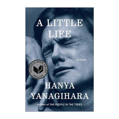 A Little Life 渺小一生 Hanya Yanagihara 精装