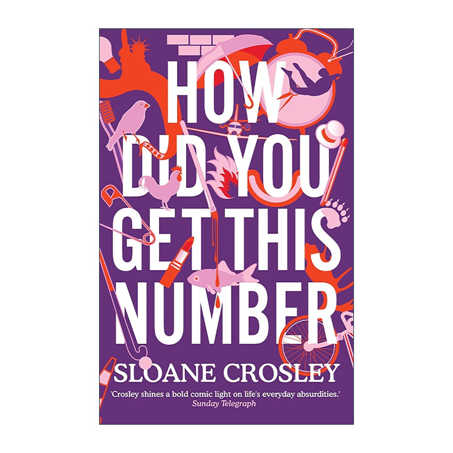 英文原版 How Did You Get This Number 你怎么拿到这个号码的 诙谐幽默都市故事集 Sloane Crosley 英文版 进口英语原版书籍