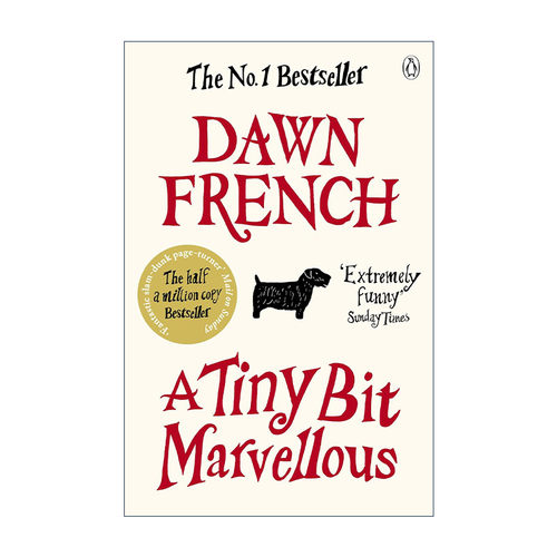 英文原版 A Tiny Bit Marvellous 有那么点儿不可思议 英国喜剧演员唐·弗兰奇 畅销家庭题材小说 英文版 进口英语原版书籍
