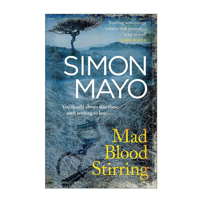 英文原版 Mad Blood Stirring 热血狂怒 西蒙·梅欧 美国黑人历史小说 英文版 进口英语原版书籍