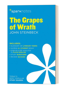 文学导读系列 愤怒的葡萄 Grapes of Wrath SparkNotes Literature Guide 英文原版中学教辅 进口英语书籍