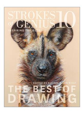 英文原版 Strokes of Genius 10 Inspiring Subjects 写实绘画全解析 鼓舞人心的主题 绘画技巧指南 雷切尔·鲁宾·沃尔夫 精装