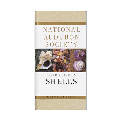英文原版 National Audubon Society Field Guide to North American Seashells 全美奥杜邦协会北美贝壳野外指南 精装 进口书籍