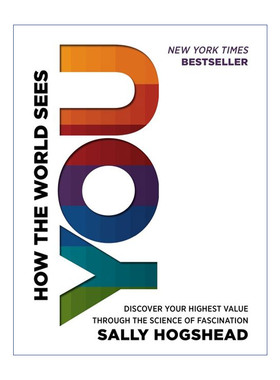 How the World Sees You 你的团队需要什么样的人 精装  Sally Hogshead