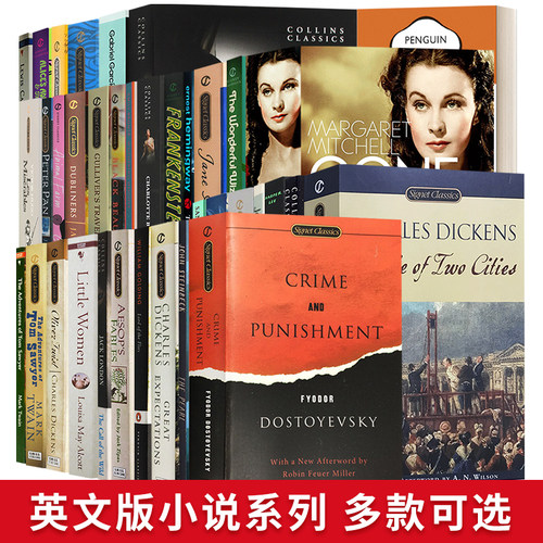 英文原版经典小说文学儿童读物