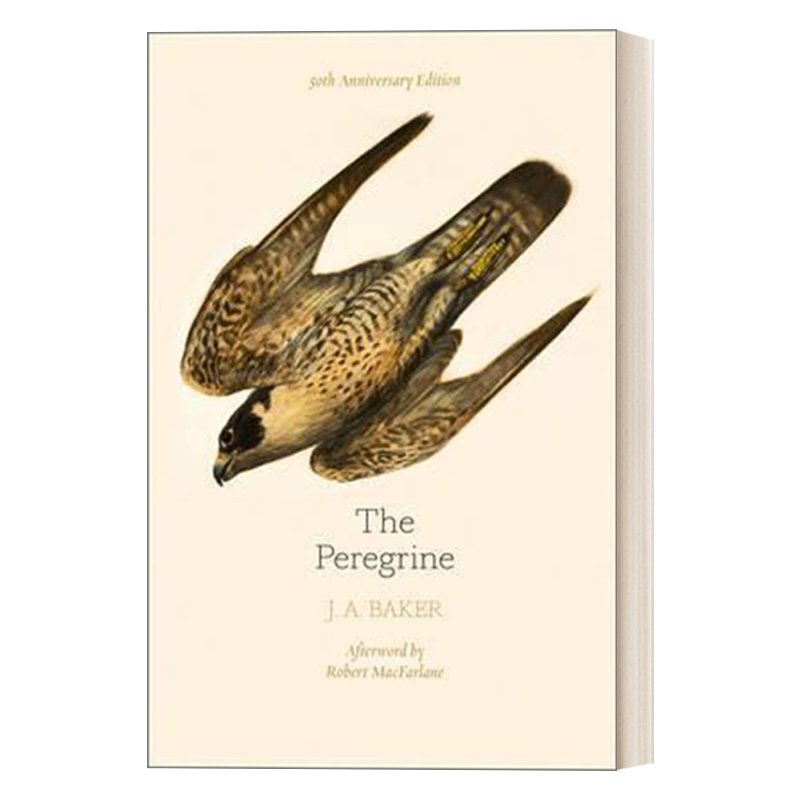 英文原版 The Peregrine 50Th Anniversary Edition游隼 J.A.贝克 50周年版英国自然文学英文版进口英语原版书籍