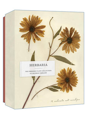 英文原版 Herbaria Pressed Plant Collection of Beatrix Farr 草药 比阿特丽克丝 法兰德的压榨植物收藏 12张卡片和信封 进口