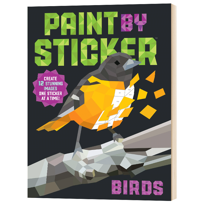 贴图画册 鸟 Paint by Sticker Birds 英文原版进口英语艺术类书籍