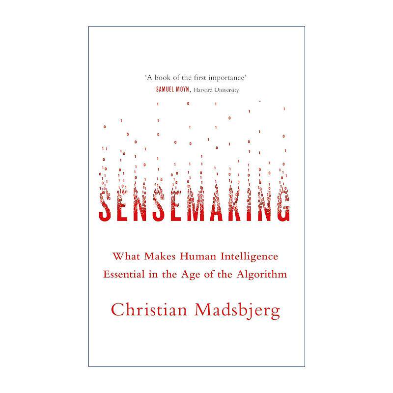 英文原版 Sensemaking 意会 算法时代的人文力量 英文版 进口英语原版书籍