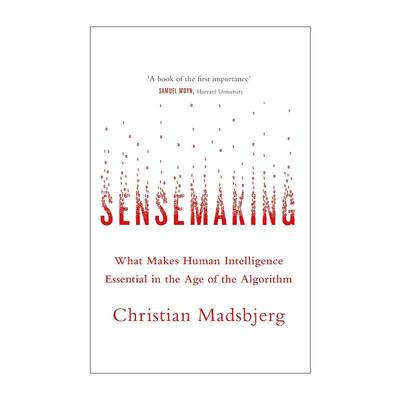 英文原版 Sensemaking 意会 算法时代的人文力量 英文版 进口英语原版书籍