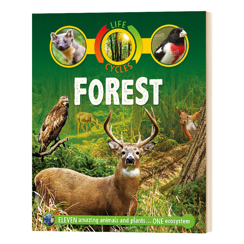 life cycles: forest森林 英文原版儿童科普读物 进口英语启蒙书籍