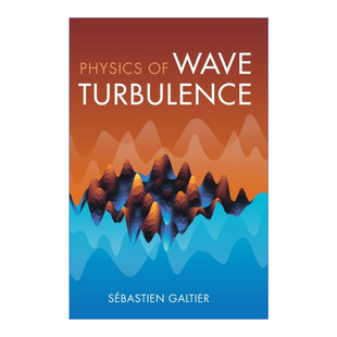 Physics of Wave Turbulence 波浪湍流物理学 精装